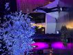 DJ Stancamax Stéphane GONTIER Les Jardins de josephine 27